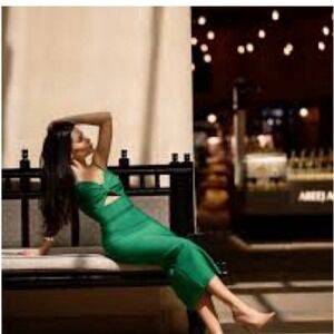 Bella Barnett Bodycon Midi Dress